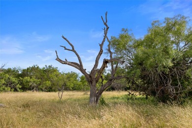 STRINGER RANCH 1,104 ACRES PALO PINTO COUNTY, TEXAS Stringer - photo 10