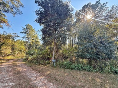 Lake Seminole Acreage For Sale in Sneads Florida
