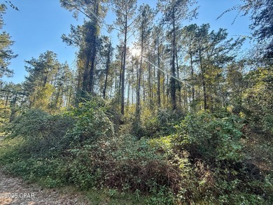 Escape to your own private retreat on this beautiful 5-acre - photo 3