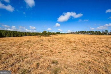 (private lake, pond, coastal) Acreage For Sale in Talking Rock Georgia