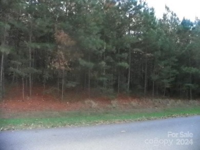 Lake Lot For Sale in New London, North Carolina