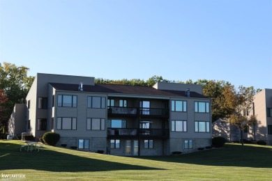 Lake Huron - Saint Clair County Condo For Sale in Lakeport Michigan