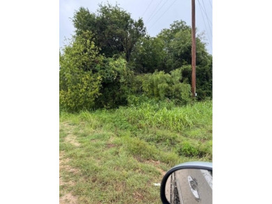 Lake Lot For Sale in Kopperl, Texas