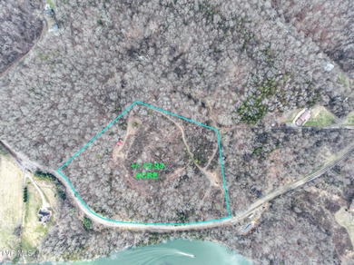 Nolichucky River Acreage For Sale in Mohawk Tennessee