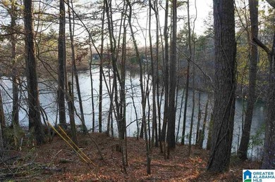 This Lake Joy parcel offers 602' of waterfront property ready - photo 2