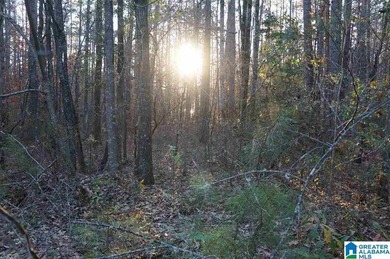 This Lake Joy parcel offers 602' of waterfront property ready - photo 3