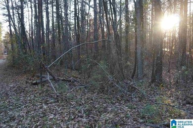 This Lake Joy parcel offers 602' of waterfront property ready - photo 4