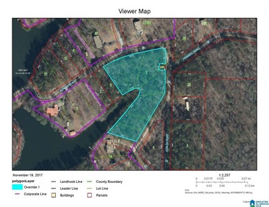 This Lake Joy parcel offers 602' of waterfront property ready - photo 5
