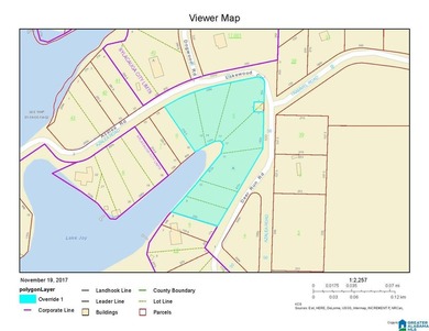 This Lake Joy parcel offers 602' of waterfront property ready - photo 6