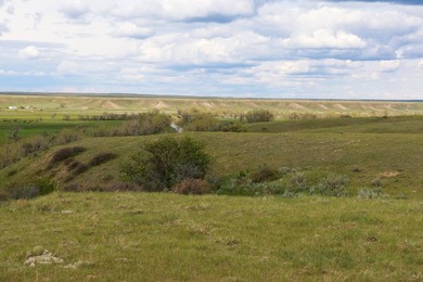 Now on the market north of Saco, this exceptional 522+/- acre - photo 10