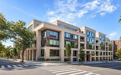 Penthouse living done right at Novo 64 in Forest Hills. This - photo 1