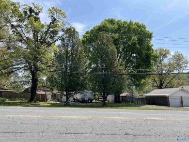 Lake Commercial For Sale in Guntersville, Alabama