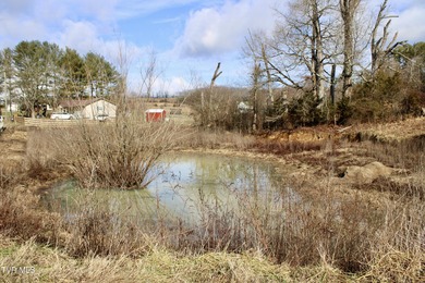 (private lake, pond, creek) Acreage For Sale in Greeneville Tennessee