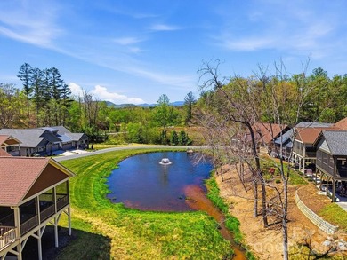 Meticulously maintained 2021 stand alone single family townhome - photo 33