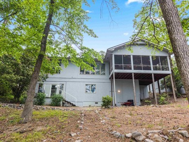 3 BED 3 BATH LAKE FRONT HOME WITH A SWIM DOCK! FISH OR SWIM - photo 46