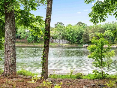 3 BED 3 BATH LAKE FRONT HOME WITH A SWIM DOCK! FISH OR SWIM - photo 48