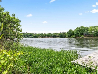 3 BED 3 BATH LAKE FRONT HOME WITH A SWIM DOCK! FISH OR SWIM - photo 50