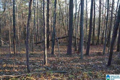 Two lots on Lake Joy offers approximately 150' of waterfront - photo 4