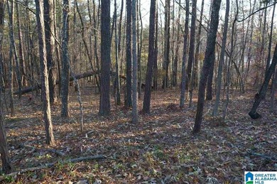 Two lots on Lake Joy offers approximately 150' of waterfront - photo 5