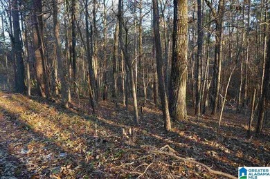 Two lots on Lake Joy offers approximately 150' of waterfront - photo 6