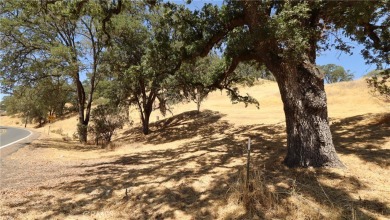 Clear Lake Acreage For Sale in Lakeport California