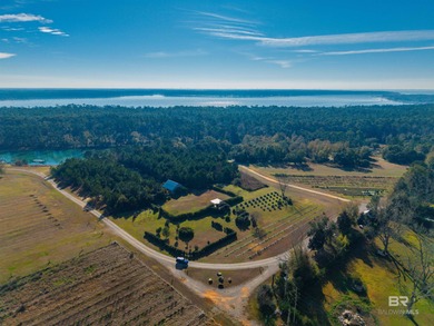 (private lake, pond, coastal) Acreage For Sale in Fairhope Alabama