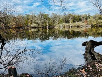 Suwannee River - Gilchrest County Acreage For Sale in Bell Florida