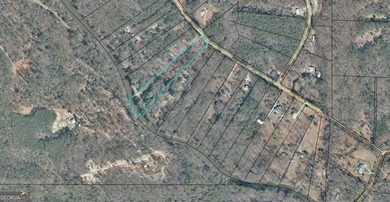 Affordable 3.8 acre River front property on the Towaliga River! - photo 1