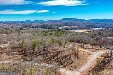 Lake Lot For Sale in Blue Ridge, Georgia