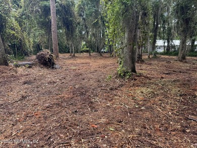 St. Johns Riverfront Dockable Dream Property! Build your custom - photo 11