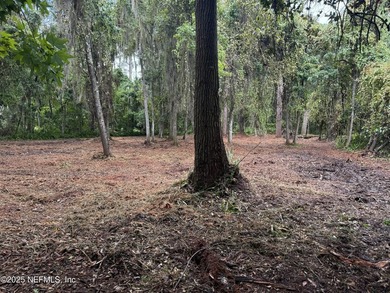 St. Johns Riverfront Dockable Dream Property! Build your custom - photo 15