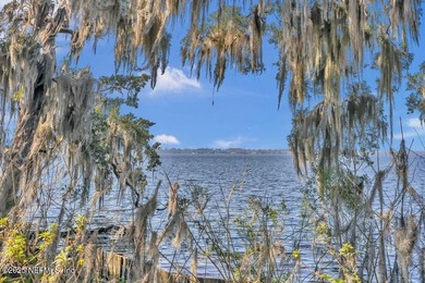St. Johns Riverfront Dockable Dream Property! Build your custom - photo 20