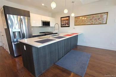 This luxurious condominium penthouse atop a modern elevator - photo 4