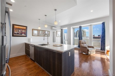 This luxurious condominium penthouse atop a modern elevator - photo 5