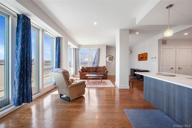 This luxurious condominium penthouse atop a modern elevator - photo 6