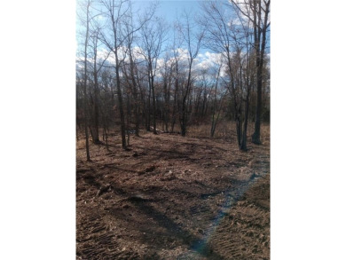Mille Lacs Lake Lot For Sale in Garrison Twp Minnesota