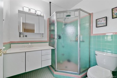 Nestled on a quiet, tree-lined block in the heart of Woodmere - photo 17