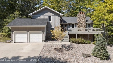 Lake Home For Sale in Perrinton, Michigan