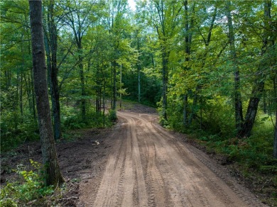 Lipsett Lake Acreage For Sale in Spooner Wisconsin