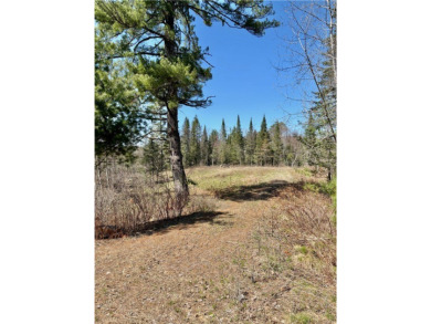 (private lake, pond, creek) Lot Active Under Contract in Hayward Wisconsin