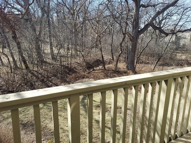 IMMEDIATE OCCUPANCY! Fantastic private 'Resort' Views from this - photo 47