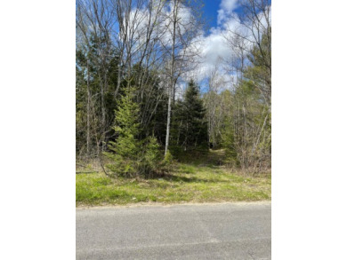 Sheepscot Pond Acreage For Sale in Palermo Maine