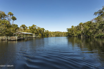 Tomoka River Home For Sale in Ormond Beach Florida