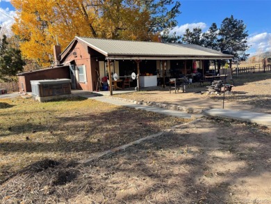 Arkansas River - Chaffee County Home Sale Pending in Buena Vista Colorado