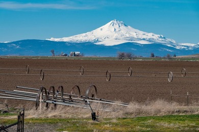 OWNER TERMS AVAILABLE. Cascade Mountain views frame this - photo 27
