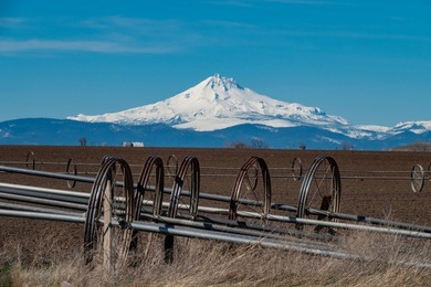 OWNER TERMS AVAILABLE. Cascade Mountain views frame this - photo 28