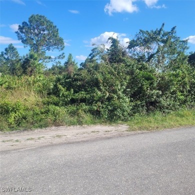 Lehigh Acres Area Lot For Sale in Lehigh Acres Florida