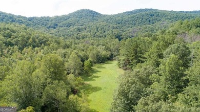 Lake Acreage For Sale in Dillard, Georgia