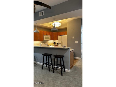 This beautiful condo is a 1 bedroom, 1 bathroom in a gated