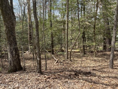 Lake Lot For Sale in Sanford, North Carolina